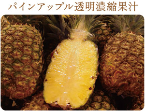 パイナップル透明濃縮果汁