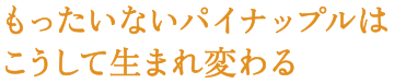 もったいないパイナップルはこうして生まれ変わる