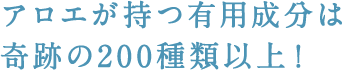 アロエが持つ有用成分は奇跡の200種類以上！