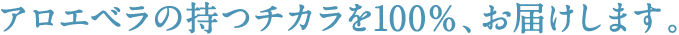 アロエベラの持つチカラを100％、お届けします。