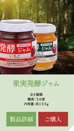 果実発酵ジャム